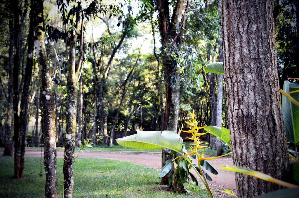 Cabanas Las Termas Villa Oberá Exterior foto